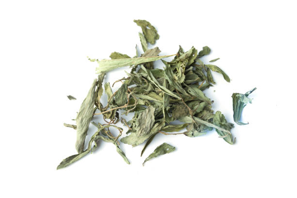 istock Stevia herbal infusion on isolated 675987078