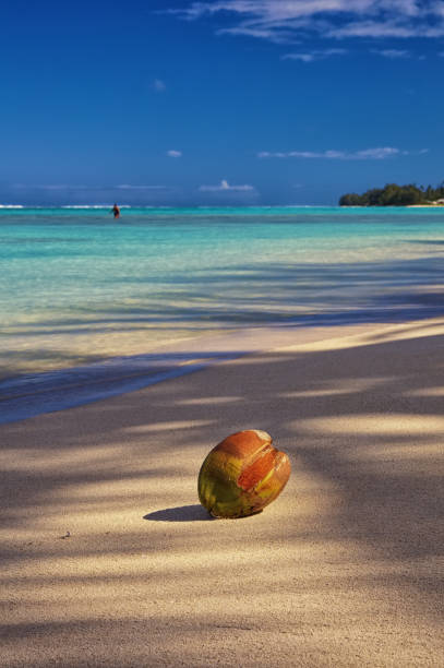 istock Coconut Beach On Rarotonga 675990738