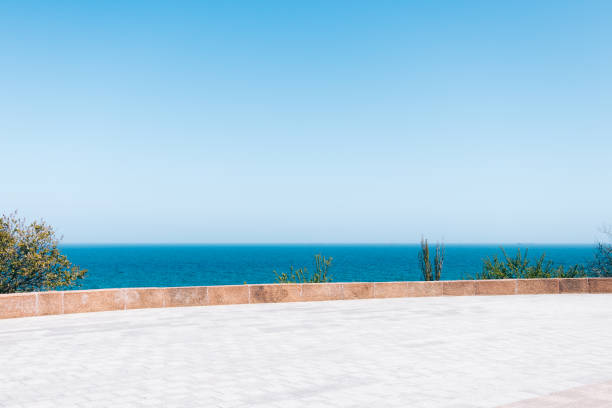 A girl stands by a railing looking out towards the sea.