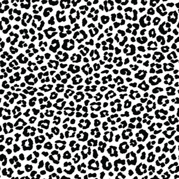 586 Black And White Leopard Print Stock Photos, Pictures & Royalty-Free  Images - iStock