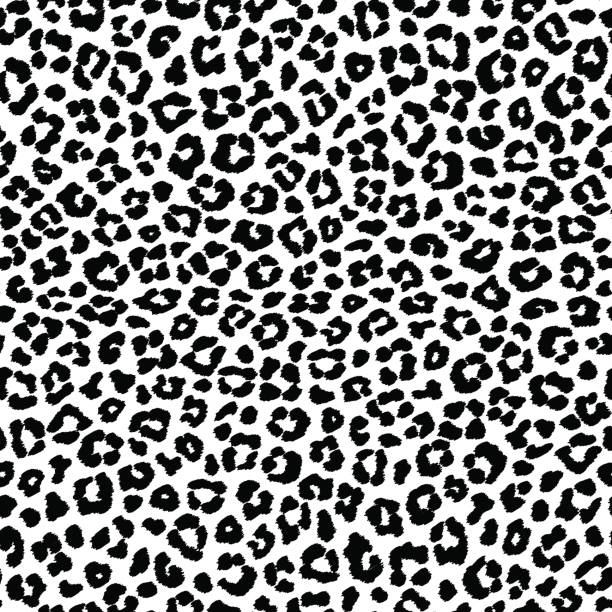 586 Black And White Leopard Print Stock Photos, Pictures & Royalty-Free Images - iStock 586 Black And White Leopard Print Stock Photos, Pictures & Royalty-Free Images - iStock