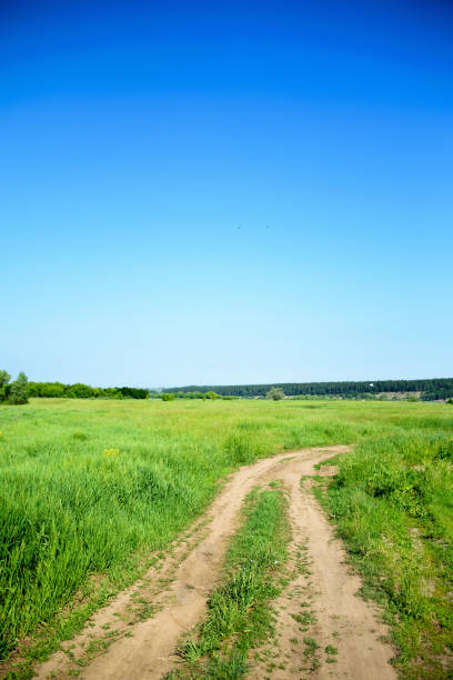 istock A dirt road in a green field and a blue sky. 676004232