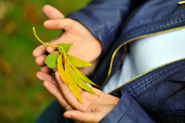 Couple embracing holding a leaf in hands