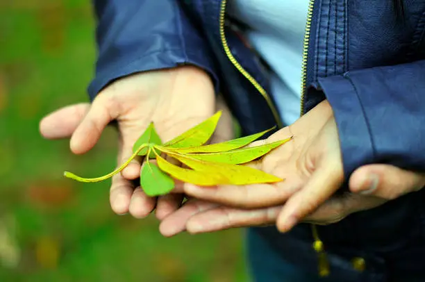 Couple embracing holding a leaf in hands