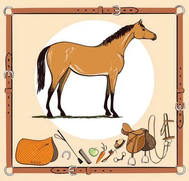 Vector illustration of Horse and riding tack tools in leather belt frame. Bridle, saddle, stirrup, brush, bit, harness, supplies, whip equine harness equipments.