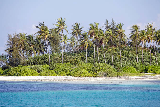 istock Tropical island Maldives 676009110