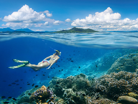 Woman swims around a coral reef surrounded by a multitude of fish on the background Islands.