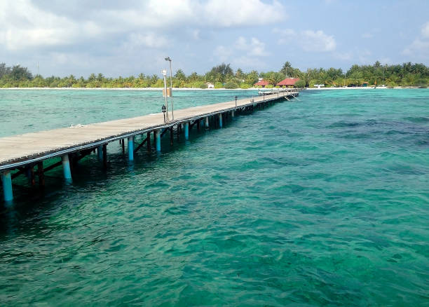 istock Tropical island Maldives 676019602