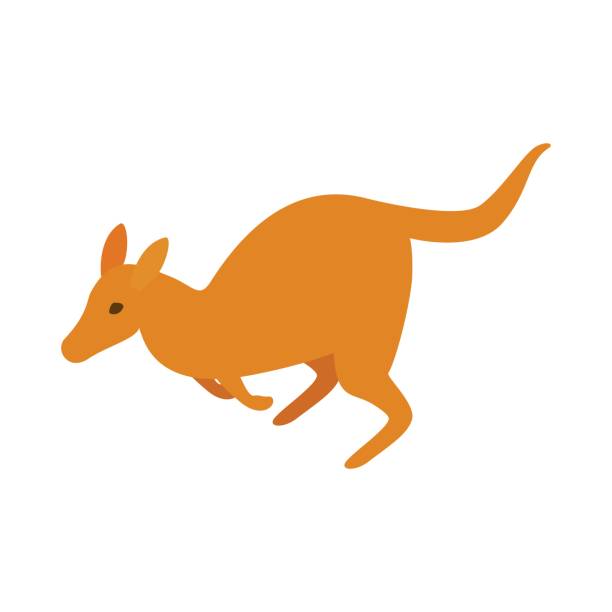 Australian kangaroo icon, isometric 3d style Australian kangaroo icon in isometric 3d style on a white  background joey stock illustrations