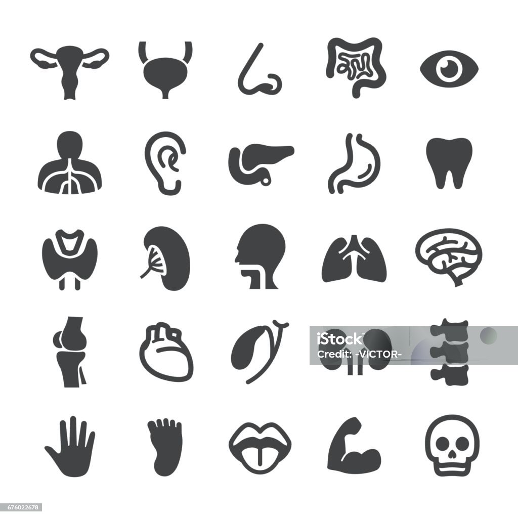 Human Organ Icons - Smart Series Human Organ Icons Thyroid Gland stock vector
