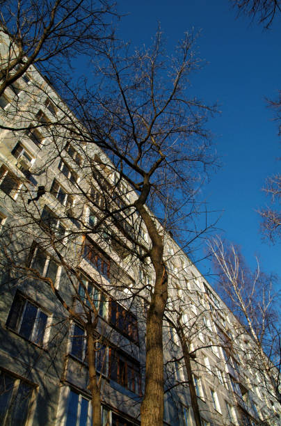 istock Naked tree in the Moscow yard 676030540
