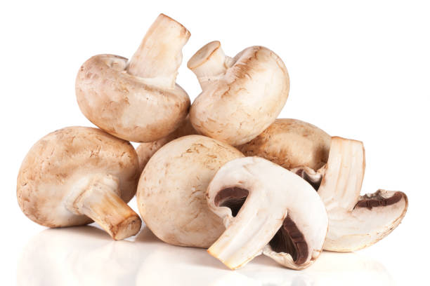 istock A bunch of champignon mushrooms isolated on white background 676031166