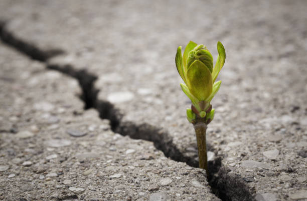 nova esperança - challenge chance conquering adversity opportunity - fotografias e filmes do acervo