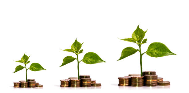 istock business concept, isolated on white background 676033906
