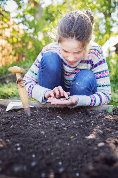 istock Young Girl Working In Her Kitchen Garden. 676043744