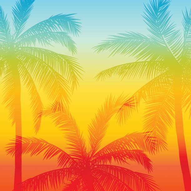 Card with realistic palm trees silhouette on tropical grunge sunset beach background. Card with realistic palm trees silhouette on tropical grunge sunset beach background. caribbean stock illustrations