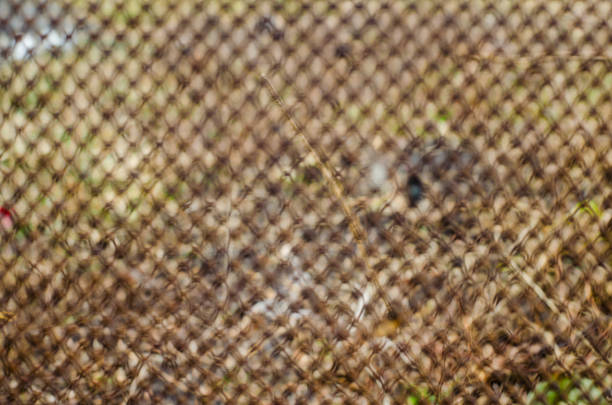 istock Old rusty wire mesh outside the focus of the texture 676064974