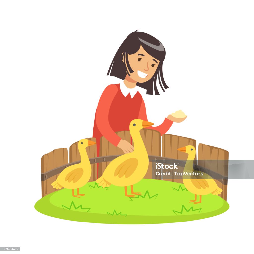 Cute Little Girl Feeding Ducks With Grain In A Mini Zoo Colorful Cartoon  Character Vector Illustration Stock Illustration - Download Image Now -  iStock