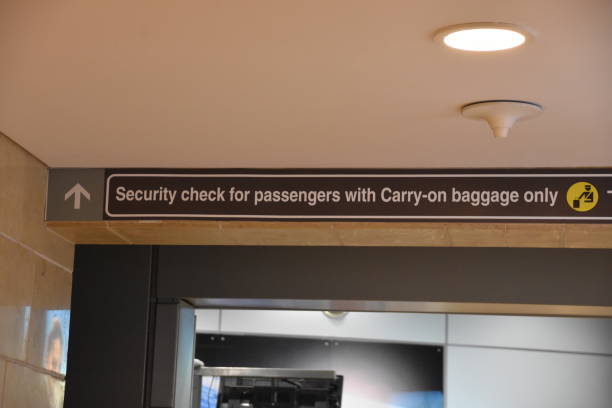 istock Check UP for passengers with hand trolleys at the airport 676094798