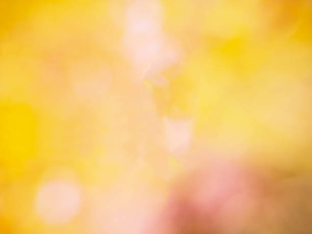 istock Abstract photo of backlight reflector and glitter bokeh lights background. 676186320