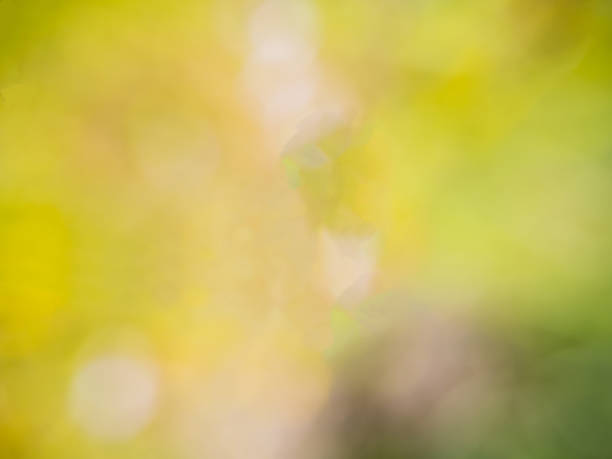 istock Abstract photo of backlight reflector and glitter bokeh lights background. 676186330