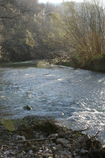 istock Fast waters of Serbian River Rzav 676233578