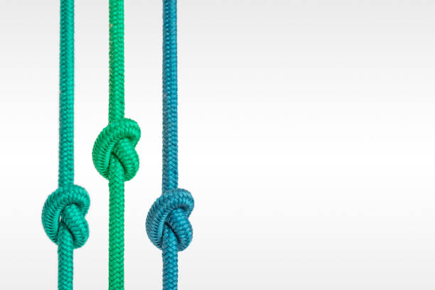 흰색 배경에 고립 된 매듭으로 로프 - tied knot rope three objects string 뉴스 사진 이미지