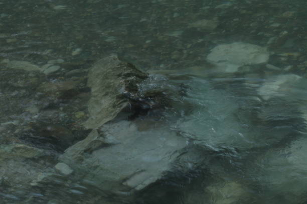 istock Fast waters of Serbian River Rzav 676235146