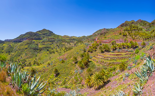 Gavidia is a agriculture village in Mérida state, Venezuela located about 2500 meters above sea level. Merida is the most mountainous in the country. It is crossed by three mountain ranges of the Cordillera de Los Andes, which are La Sierra Nevada de Mérida.