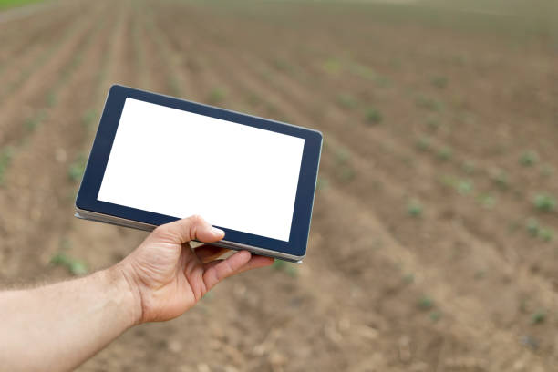 istock Farmer using tablet computer in agricultural cultivated field. White screen. 676249602