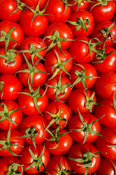 istock Healthy food, background. Red tomatoes 676250318