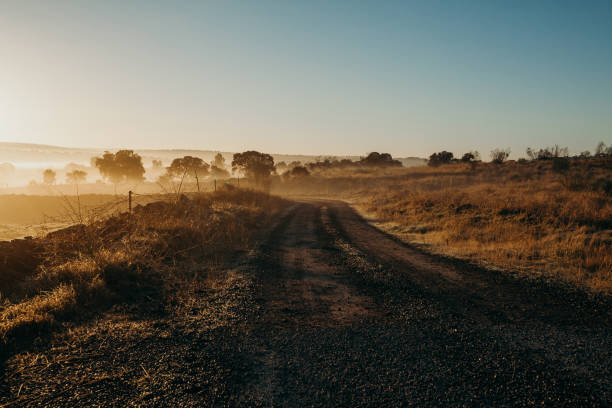 istock Dirt track in crossing a beautiful sunrise landscape. 676259920