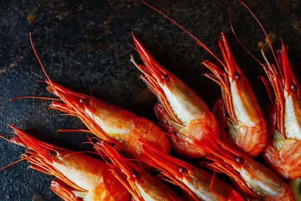 Shrimps on a dark background closeup