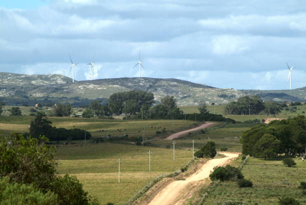 mulini a vento sulla sierra carape nel dipartimento di maldonado, uruguay - cerro catedral foto e immagini stock