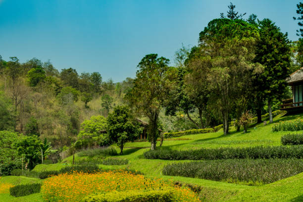 istock Flowers bed with green grass 676276986