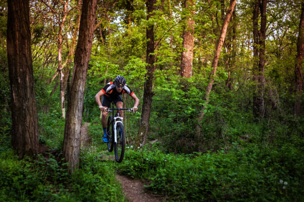istock Mountain-biker ride in forest on cross-country track 676282512