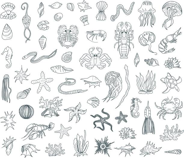 ilustraciones, imágenes clip art, dibujos animados e iconos de stock de vida marina doodles conjunto - deep sea diving illustrations