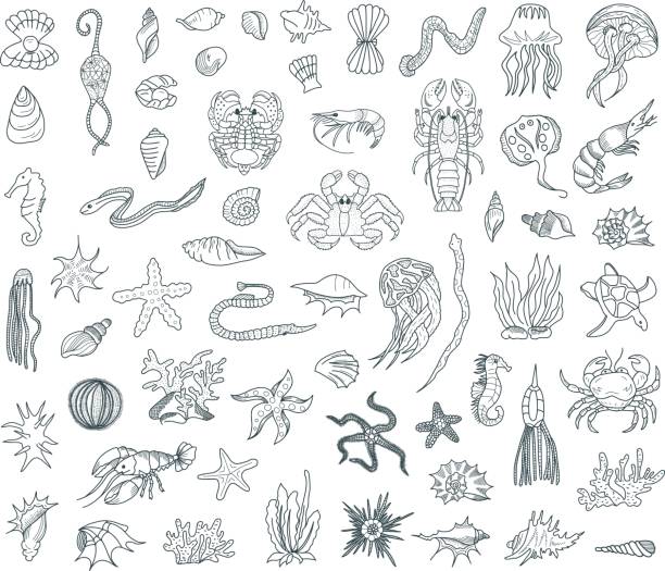 ilustrações, clipart, desenhos animados e ícones de vida marinha doodles conjunto - deep sea diving illustrations