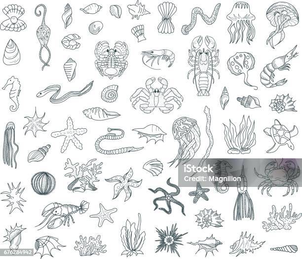 Sea Life Doodles Set Stock Illustration - Download Image Now - Illustration, Sea Life, Vector