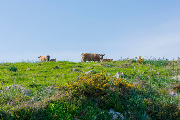 istock Walking along the Buelna coast in Asturias 676301502