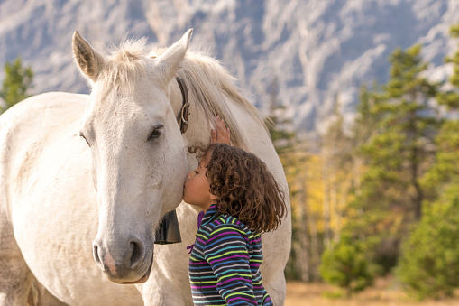 Girl petting a brown horse. Love and tenderness.