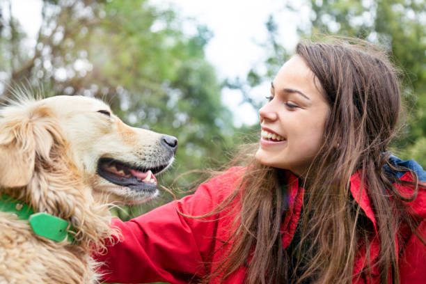 istock Girl petting the dog 676310448
