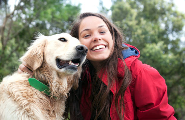 Girl petting the dog Girl petting the dog in the meadow rescued dog stock pictures, royalty-free photos & images