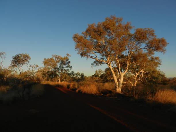 Karijini National Park, The Pilbara, Western Australia