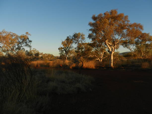 istock Karijini National Park, The Pilbara, Western Australia 676344262
