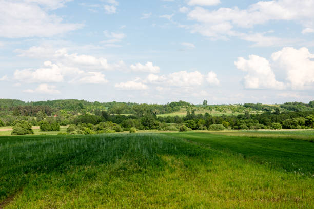 istock Dark storm clouds over meadow with green grass 676352796