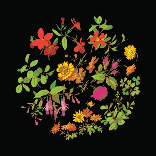 ilustraciones, imágenes clip art, dibujos animados e iconos de stock de guirnalda de flores y hojas de prado aislado sobre negro, círculo doodle f - flourishes growth dirty circle