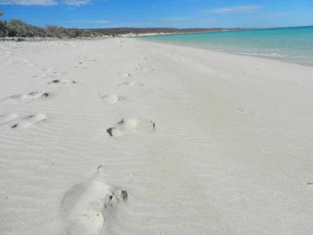 istock Turquoise Bay, Ningaloo marine park, Western Australia 676363768