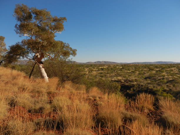 istock Karijini National Park, The Pilbara, Western Australia 676364306
