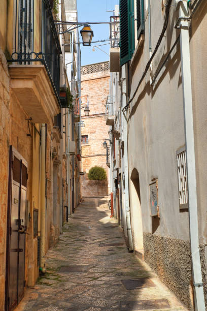 istock Alleyway. Conversano. Puglia. Italy. 676366756